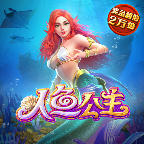 95体育网